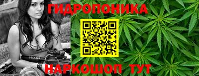 гидра Ливны