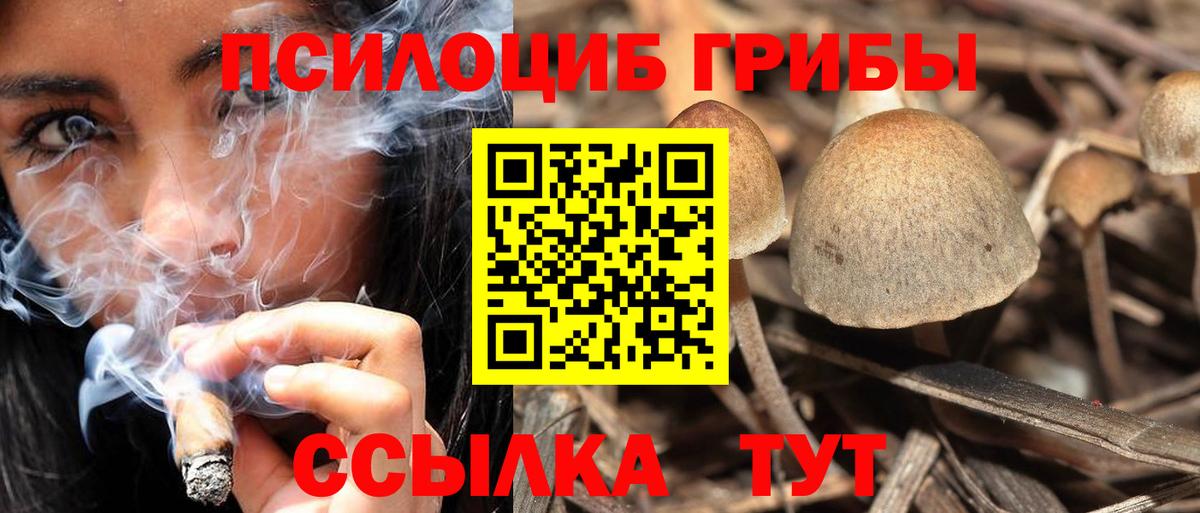 Азов  Галлюциногенные грибы мухоморы  Вход с VPN 